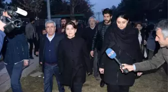 Hdp'li Zana Serbest Bırakıldı