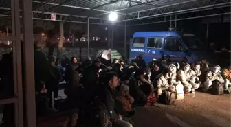 Aydın'da 61 Kaçak Göçmen Yakalandı