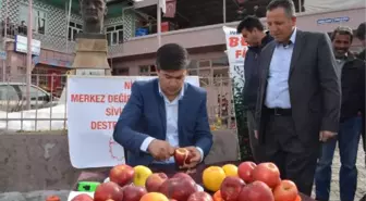 Bir Elmadan 5 Metre Uzunluğunda Tek Parça Kabuk Soydu