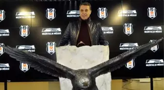 Fikret Orman, Divan Üyelerine Beşiktaş Müzesi'ni Tanıttı