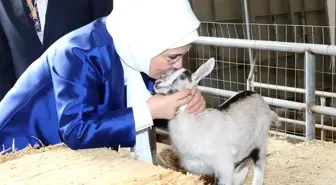 Emine Erdoğan Bahreyn'de Sosyal Yaşam ve Meslek Edindirme Merkezini Ziyaret Etti