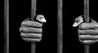 Dha İstanbul Bülteni - 2