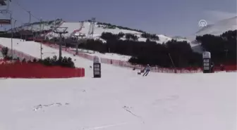 Eyof 2017 - Erkekler Alp Disiplini Büyük Slalom Yarışında Altın Madalyayı Italyan Sporcu Vinatzer...