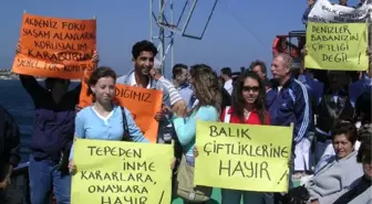 Balık Çiftlikleri Akdeniz Foklarına Tehdit' İddiası