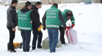 Yaban Hayvanları İçin Doğaya Yem Bırakıldı