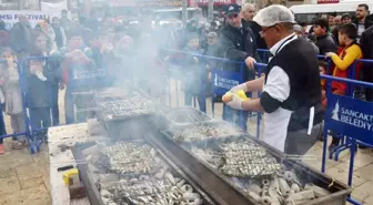 Hamsi Festivalinde 5 Ton Balık İkram Edildi