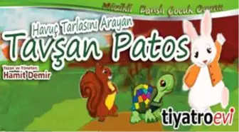 Havuç Tarlasını Arayan Tavşan