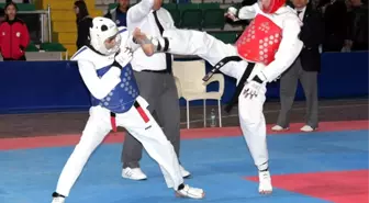 Analig Yıldızlar Grup Müsabakaları Sona Erdi