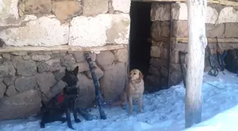 Bingöl'de 1,5 Ton Amonyum Nitrat Ele Geçirildi