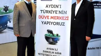 Aydın'a Damızlık Düve Yetiştiriciliği Merkezi Kurulacak