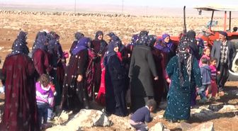 Şanlıurfa - Hd) Köylüler Geçim Kaynakları Arazilerin Kendilerine Verilmesini İstiyor