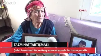 Şehidin Öz ve Üvey Annesi Arasında Tazminat Tartışması