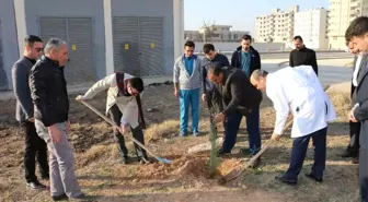 Hastane Bahçesinde 300 Fidan Toprakla Buluştu