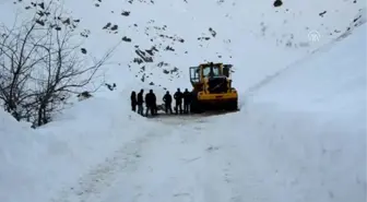 3 Kilometrelik Çığla Zorlu Mücadele - Hakkari