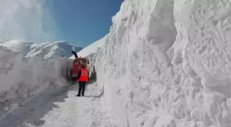 Şırnak'ta Tanin Tanin Dağları'nda 3 Metre Kalınlıktaki Kar ile Mücadele