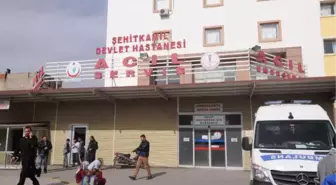 Minik Zehra Nur, Sokakta Oynarken Maganda Kurbanı Oldu