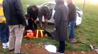 Otomobil Metrelerce Yükseklikten Tarlaya Uçtu: 1 Yaralı