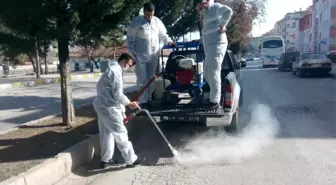 Çankırı Belediyesi Kışlak Mücadelesinin Startını Verdi