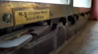 Titanic'in Çanı ve Hitler'in Yatının Penceresi Samsun'da