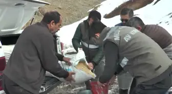 Çatak'ta Yaban Hayvanları Için Doğaya Yem Bırakıldı
