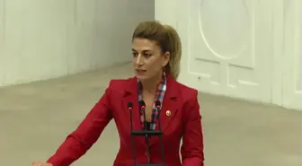 Dha Ankara - CHP'li Engin, Yoğun Bakım Kapasitelerini Meclis Gündemine Taşıdı