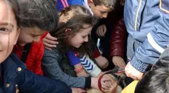 Herkül'ün Zor Anları