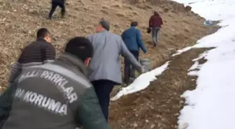 Van'da Yaban Hayvanları İçin Doğaya Yem Bırakıldı