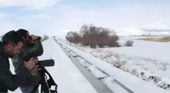 Fotoğrafçılar Van'a İlgi Gösteriyor