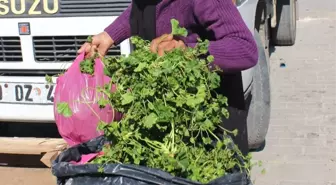 Kaymakam Şakalar, Akharım Beldesini Ziyaret Etti