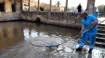 Tarihi Balıklıgöl'deki Temizlik Çalışması