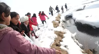 Zonguldak'da Organik Arıcılık Yaygınlaşıyor