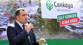 Maltepe Ördekli Park'la Yeniden Canlandı