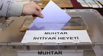 Fatsa'da 9 Yeni Muhtar Seçildi