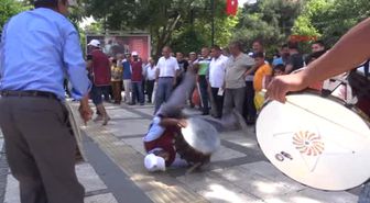 Avcılar'da Anket Yapacaklara 'Sertifika Şartı' Geliyor
