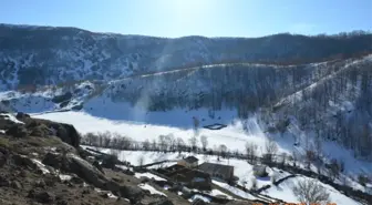 Bingöl'de Terör Operasyonu