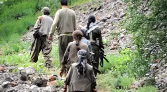 Arap Aşiretlerden PKK'nın Sincar'daki Varlığına Tepki
