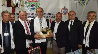 Bursa'da Rumeli Günleri