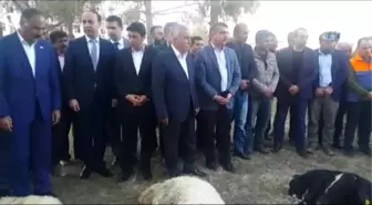 Deprem Bölgesinde Kurbanlar Kesildi