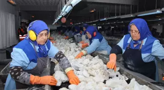 Ekmeklerini Taştan Çıkaran Kadınlar