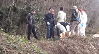 Zonguldak - Zılbıt Toplamaya Giden Kadın, Insan Kemikleri Buldu