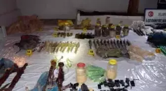 Dha Yurt: Silopi' Deki Bir Evin Bodrumunda PKK Cephaneliği Bulundu