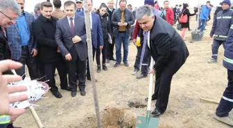 Ereğli'de 15 Temmuz Şehitleri İçin Hatıra Ormanı Oluşturuldu