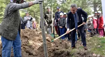 Ertuğrul Gazi Türbesi Alanına Çınar ve Ihlamur Fidanları Dikildi