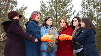 Tedavisi Tamamlanan 'Çakır'ı Doğaya Kadınlar Salıverdi