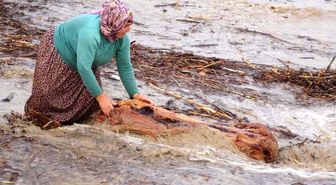 Sel Sularının Getirdiği Ağaç Parçaları Dar Gelirliye Umut Oldu