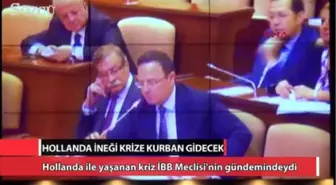 Hollanda İneği Diplomatik Krize Kurban Gidecek