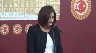 Hdp'li Taşdemir Avrupa'dan Düşman Ithal Etmeye Başladılar