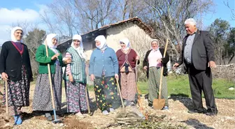 Köyün Oyuncu Kadınları Gündüz Tarla, Akşam Sahne Tozu Yutuyor