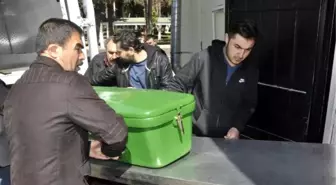 Kocasını Aldattığını Düşündüğü Ablasını Öldürdü