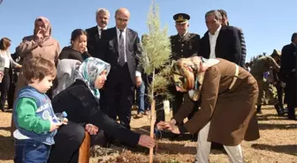 Şehitler Adına Dikilen Fidanlara, Ailelerin Gözyaşları Can Suyu Oldu